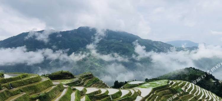龙胜望景之家民宿(龙脊梯田七星伴月观景台店)图片