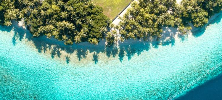 马尔代夫多尼旅馆(Dhoani Maldives Guesthouse)图片