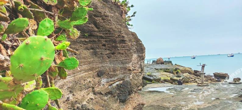 涠洲岛花屿民宿图片