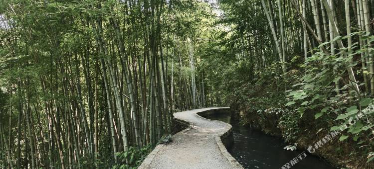 桐庐山前月下民宿(马岭古道店)图片