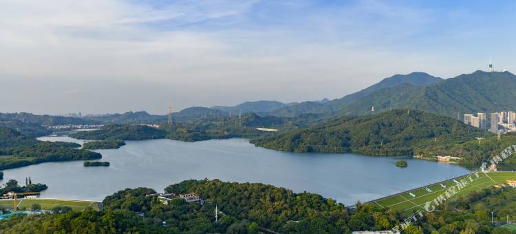 秋果酒店X(水贝珠宝城东湖公园店)图片