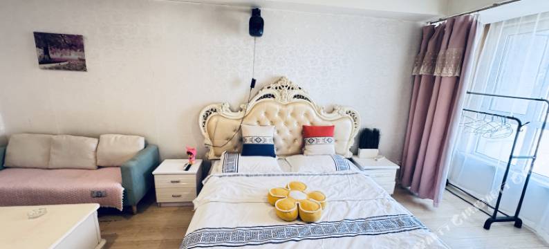 沈阳丽娜主题公寓图片