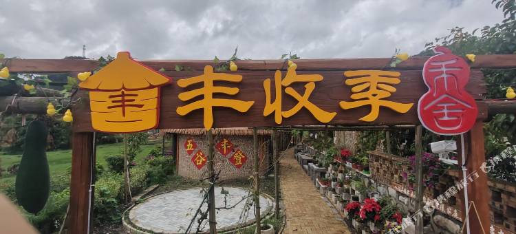 丰收季·禾舍图片