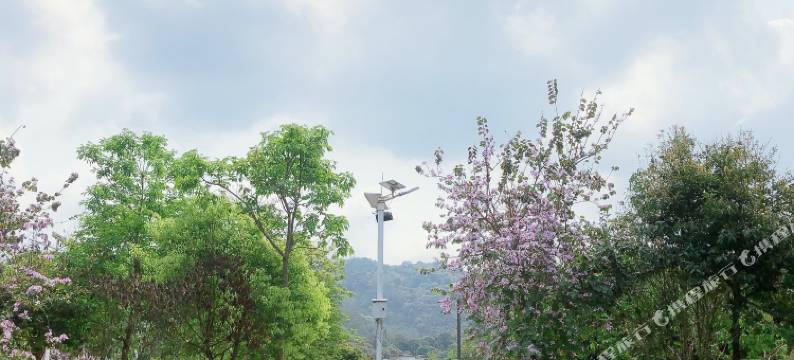 广州东篱榄溪精品民宿(兰溪森林公园店)图片