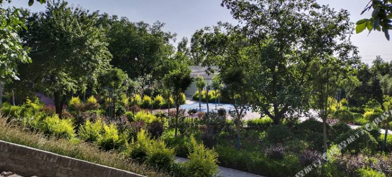 介休惠客农家院图片