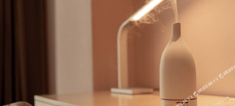 麗枫酒店(伊宁机场六星街店)图片