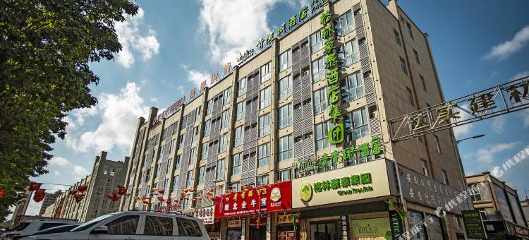 青皮树酒店(界首宁洛高速路口店)图片