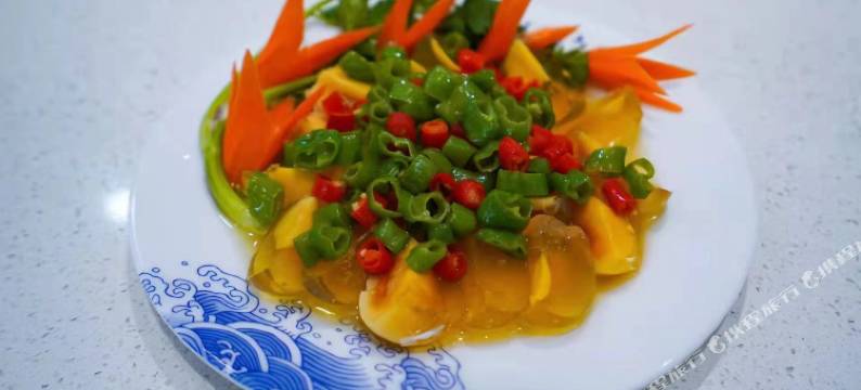 维西嘉园精品酒店图片