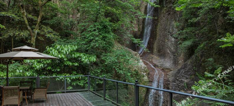 安吉无尘茗宿图片