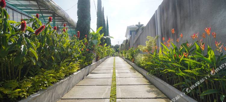 奥马安古尔-安古尔别墅(Omah Angkul Angkul Villa)图片