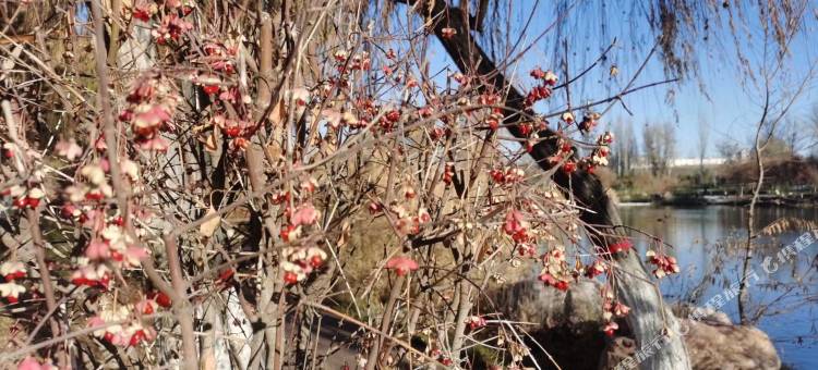 派酒店(伊宁华瑞汉人街喀赞其大巴扎店)图片