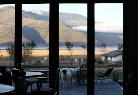 香格里拉锦瑟·在野院·畔海牧场EVEREST POINT外景图