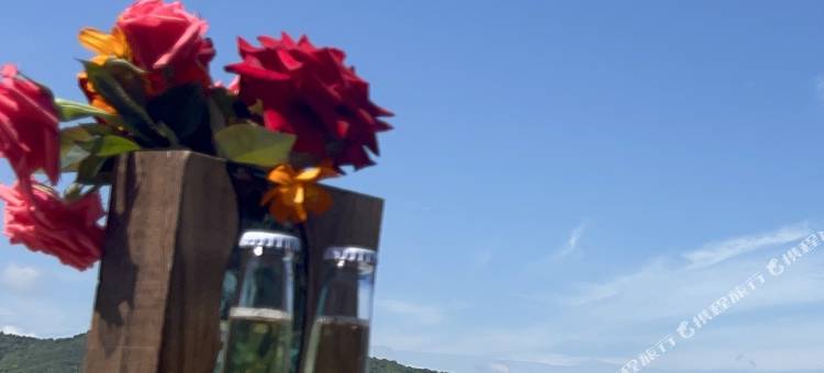 桃花岛屿岸民宿图片