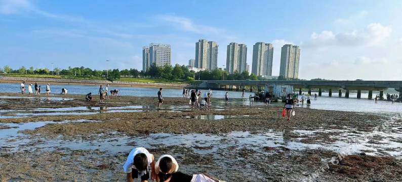荣成滨海智养园图片