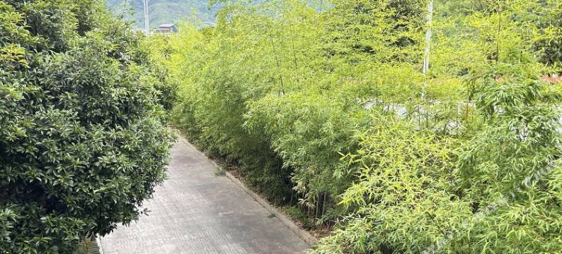 上饶灵山假日酒店(灵山索道店)图片