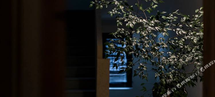 衢州醉山野民宿图片