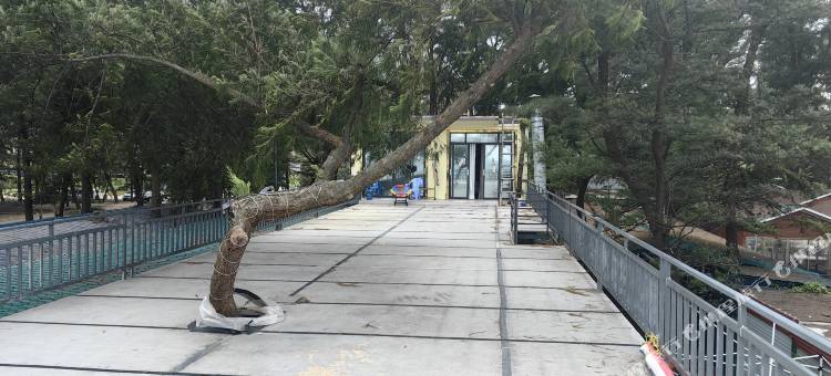 澜海听风驿站图片
