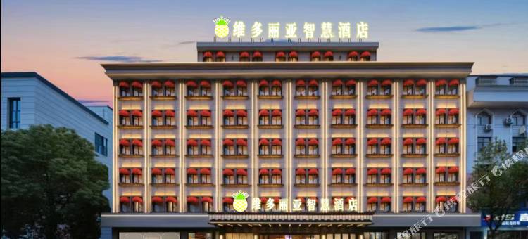 维多丽亚智慧酒店(徐闻县城东大道店)图片