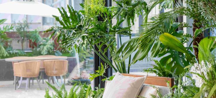 门下·栖聿酒店(戴家巷古建筑群茶马古镇店)图片