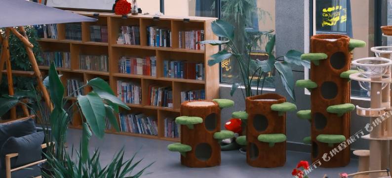 花语·猫咖供氧设计师民宿(香格里拉独克宗古城店)图片