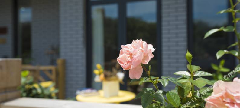 朱家尖屿舍民宿(大乌石塘景区店)图片