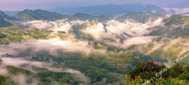 遂昌望辰民宿图片