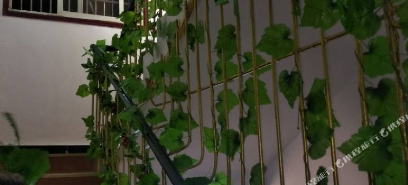 安庆惜缘宾馆图片