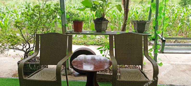 上里古镇水湾青苑民宿图片