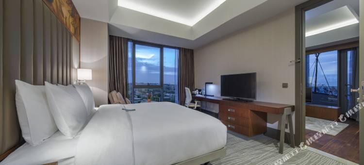 伊斯坦布尔阿塔图尔克机场希尔顿花园酒店(Hilton Garden Inn Istanbul Atatürk Airport)图片