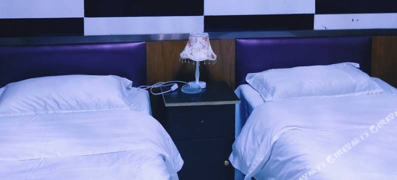 南乐播维宾馆图片