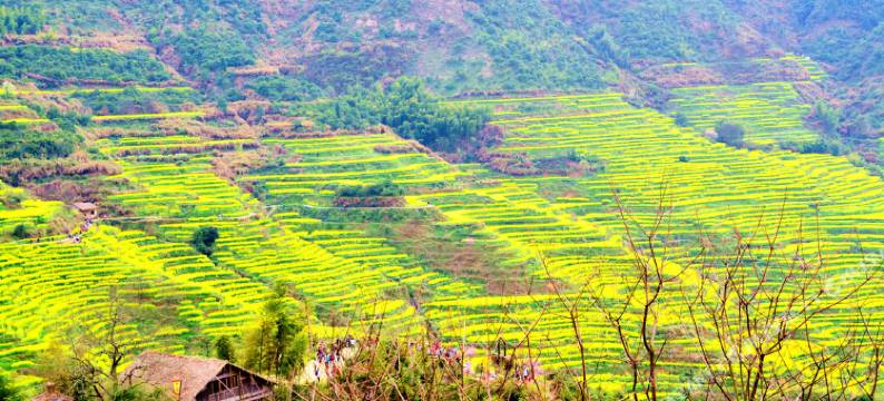 婺源邻溪有客民宿(篁岭景区店)图片