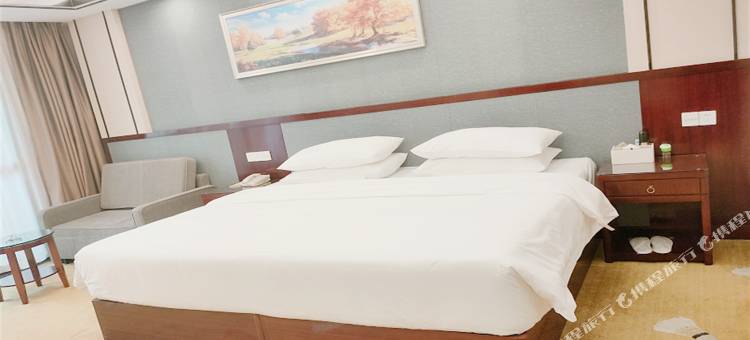 维也纳智好酒店(安化店)图片