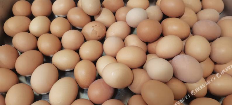 井冈山红叶大酒店图片