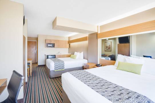 温德姆鸽子谷麦客达套房酒店(Microtel Inn & Suites by Wyndham Pigeon Forge)