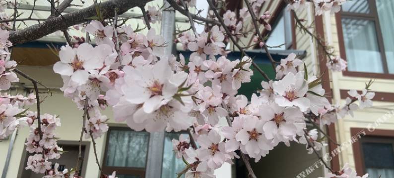 米林云峰轩客栈(索松村店)图片