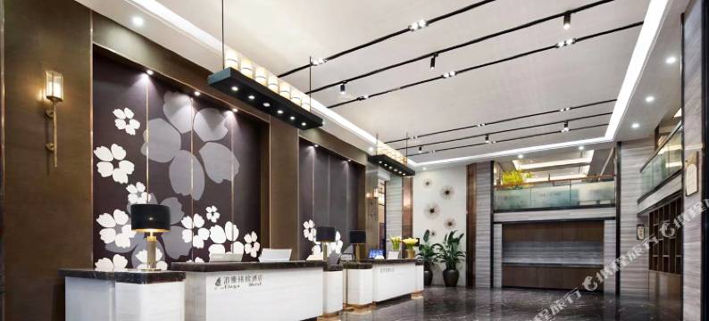 湘潭泊雅铭致酒店(易俗河店)图片