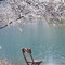 永泰山外山良栖山院