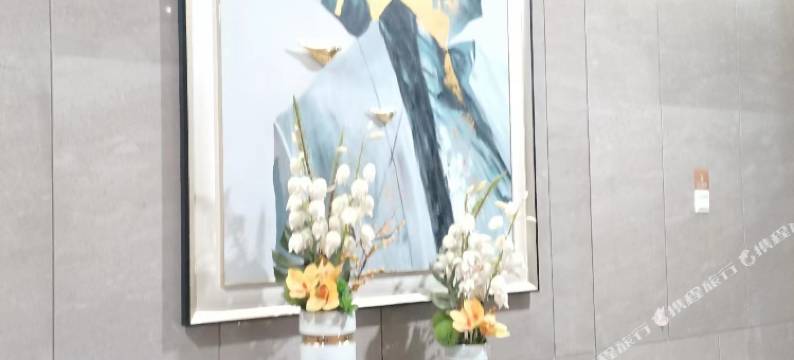 厦雅栖酒店公寓(厦门北站店)图片