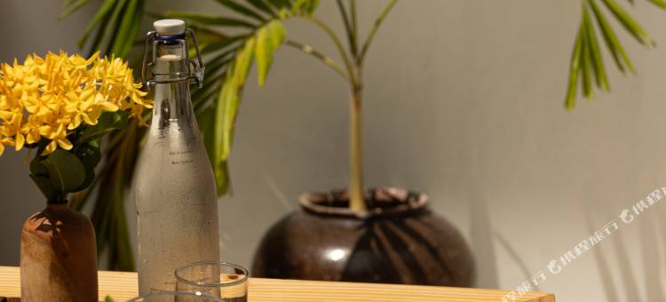 马尔代夫多尼旅馆(Dhoani Maldives Guesthouse)图片