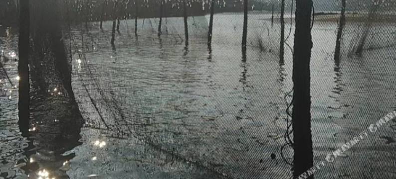 北海铁山港永惠民宿图片
