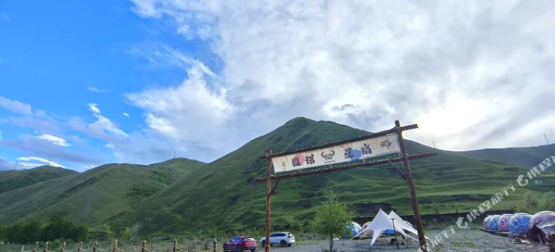 鱼子西雅诺星宿图片