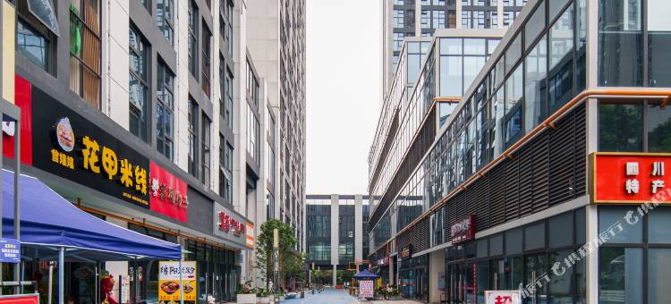 河马·设计师景观民宿(成都东站店)图片