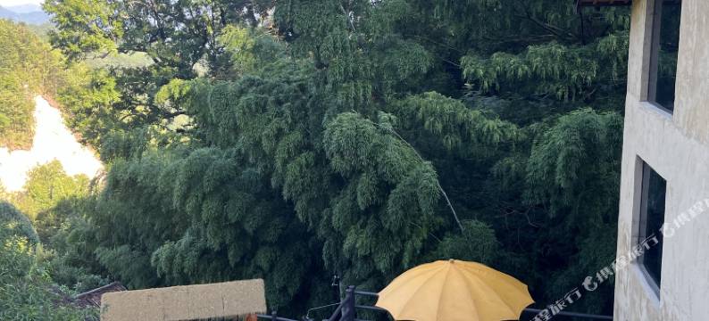 松阳梨庭别院民宿图片