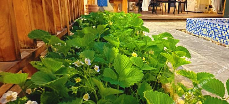 特克斯静雅别院(八卦城离街店)图片