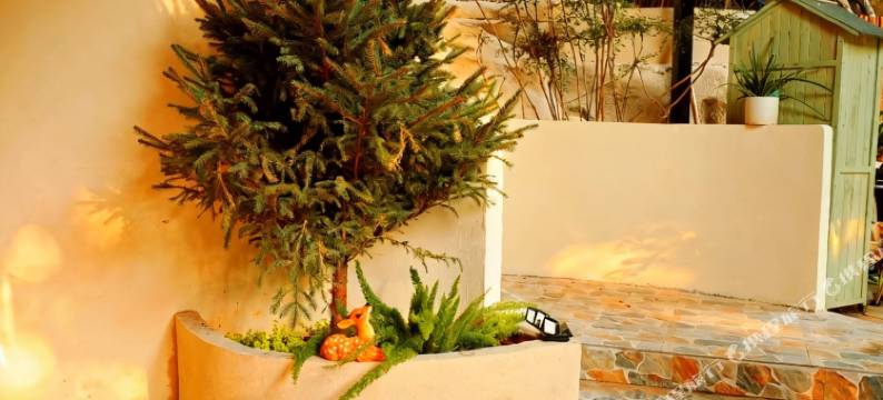 厦门樹夏·半亩花园Villa(黄厝海滩会展中心店)图片