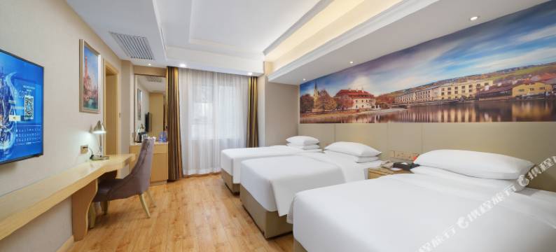 维也纳酒店(西安钟楼南门店)图片