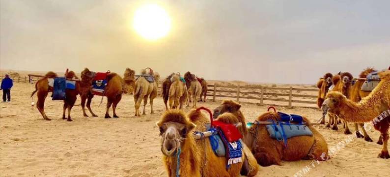 沙坡头大漠客栈图片