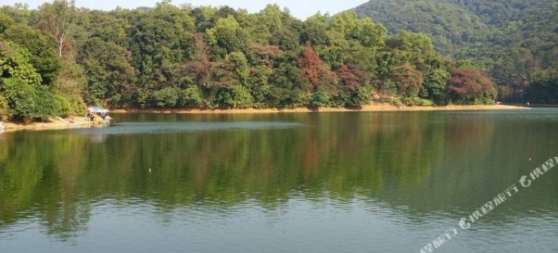 宝湾四季酒店(广州白云永泰地铁站店)图片