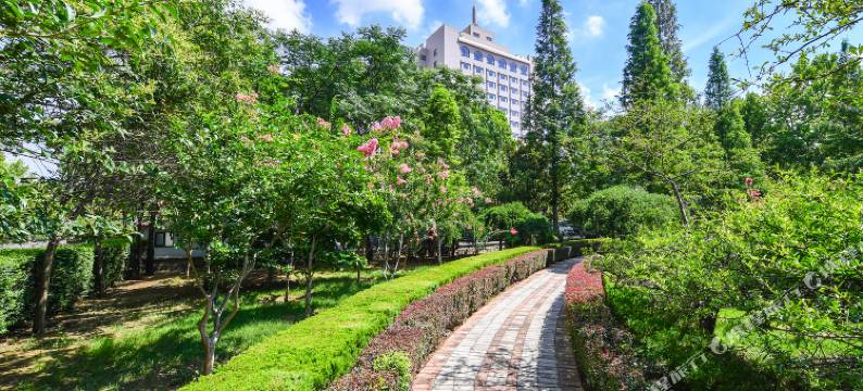 龙口南山宾馆图片