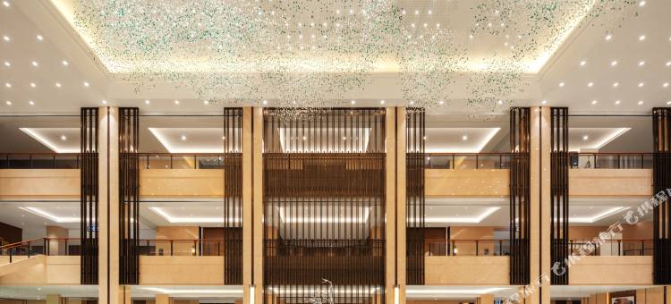 六安索伊国际大酒店图片